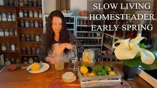 Slow Living Start for Spring Homesteader / Seasons Early Spring / Moat Cottage Homesteading