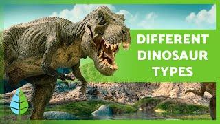 TYPES of DINOSAURS  How Many Species Were There?