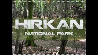 Hirkan National Park / Talish Mountains, Azerbaijan