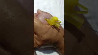 newborn baby after birth #kit_kath #motivation #vedio #virals #nursing work #gnm