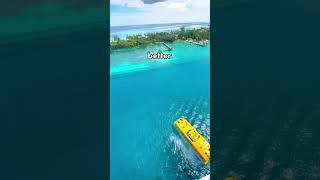 Are there enough LIFEBOATS on cruise ships? 