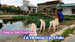 Cùng Củ Cải Kim Chi xuống ao bắt cá làm món Cá Nướng Úp Chậu Khổng Lồ chỉ Nam Định mới có