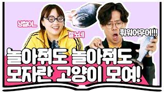 손끝까지 전율시킨 고양이 자동장난감 EP.13 [집사의 정석]