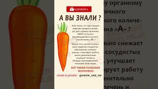  А вы знали чем полезна морковь? Морковка польза для организма человека #пп #здоровье #витамины