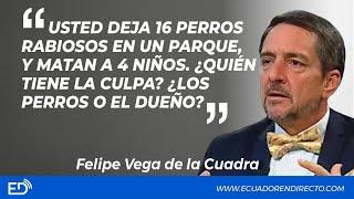 USTED DEJA 16 PERROS RABIOSOS EN 1PARQUEyM4T4N A 4 NIÑOS¿QUIÉN TIENE LA CULPA?¿LOS PERROS oEL DUEÑO?