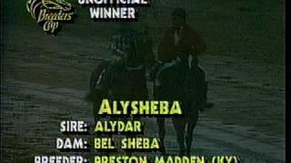 Alysheba - 1988 Breeders Cup Classic (NBC) - Part II