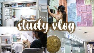 study vlog: whole week boards review, study space tour, PRC application | Philippines