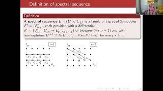 Ana Romero: Effective computation of spectral systems and relation with multi-parameter persistence