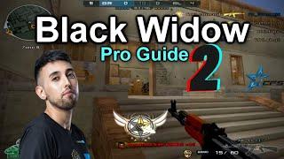 CrossFire Black Widow - Pro Guide [Global Risk]