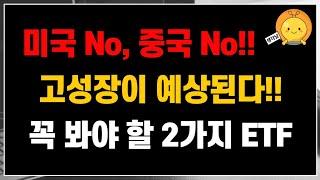 미국 No, 중국은 No!! 앞으로 2030년까지 고성장이 예상됨!! 꼭 봐야하는 2가지 ETF 