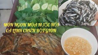 CÁ LINH CHIÊN BỘT GIÒN MÓN NGON MÙA NƯỚC NỔI