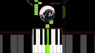 Pedro Pedro Pedro (Piano Tutorial) #TikTok