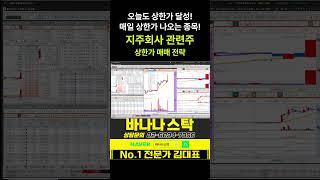 [주식] 오늘도 상한가 달성! 매일 상한가 나오는 종목! 지주회사 관련주 상한가 매매 전략 #콜마홀딩스 #오픈놀 #상법개정 #심플랫폼 #코오롱 #한미사이언스 #비아이매트리스