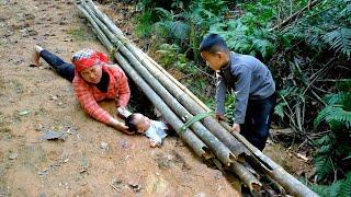 Single mother raising two young children - Stocking up on firewood for winter _ Phuong's family life