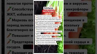 Польза моркови #здоровье #питание #морковь