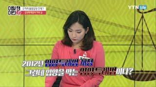 입양특례법의 허와 실 / YTN 라이프