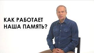 Как работает наша память?