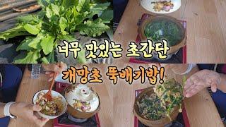 찬밥을 활용한 초간단 개망초 뚝배기 밥!!간편하고 너무 맛있어요