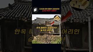 120년된 한옥집 해체가 금덩어리인 숨겨진 이유!!~심봤다!!