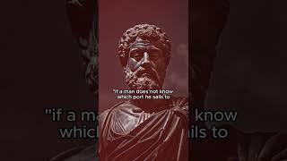 Phrase from the wise Seneca for your daily dose of wisdom!   #stoic  #stoicphilosophy