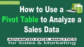 How to use a Pivot Table to Analyze SALES DATA in Excel