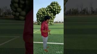 The mascot vibrato assistant placed on the footballfield is popular #vfxgaurav #funny #vfx #shorts