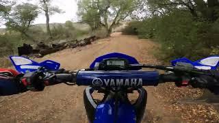 YZ450FX at Wildomar OHV SoCal