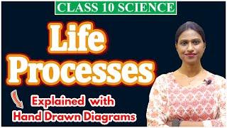 Life Processes Class 10 Science ONE SHOT for Board Exam