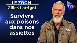 Survivre aux poisons dans nos assiettes – Le Zoom - Gilles Lartigot - TVL