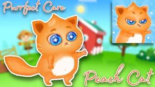 Purrfect Care | Peach Cat || Пародия на «Bubbu: Мой виртуальный питомец» | Персиковый кот 