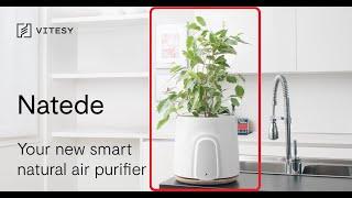 Air Purifier NATURAL Air Purifier Natede By Vitesy UNBOXING
