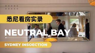 澳洲看房实录｜冒着暴雨，结果全是人？？｜Sydney Neutral Bay