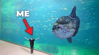 LARGEST AQUARIUM IN NORTH EUROPE!! - (Private Tour)