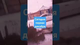2 декабря 2024 г.
