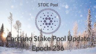 STOIC Pool Update: Epoch 236 - Delegation Increase! IOG Fund, Website, Cardano Stake Pool Update