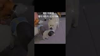 토리 미용 끝