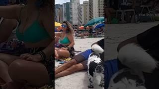   Balneario Camboriú Beach