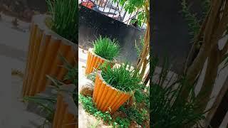 #mahabubnagar pilla vlogs