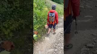 Поход с собакой в горы