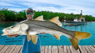 40 Years of Snook Fishing In 54 Minutes (Mullet Run 2024)