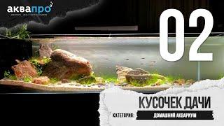 02. Кусочек дачи. Домашний аквариум