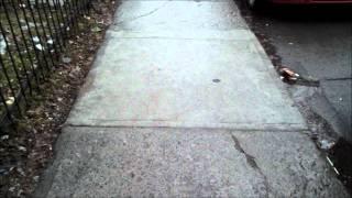 Filming a Walk - Creative Commons Video #2 - by luigiman09
