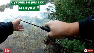 Сутрешен релакс и щуки!