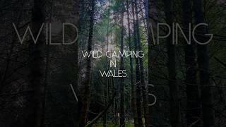 Wild Camping in Wales  #wales #wildcamping #outdoors