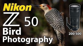 Nikon Z50 Bird Photography 200-500 Lens!