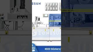 New addition: ZONESUN ZS-DPP180P Automatic PVC Blister Packaging Machine