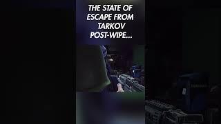 TARKOV POST WIPE IS A LAGGY MESS...