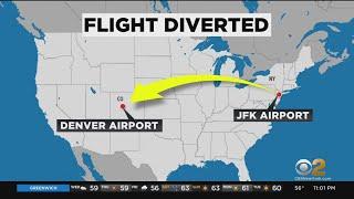 AA Flight From JFK To Santa Ana Diverted To Denver Airport