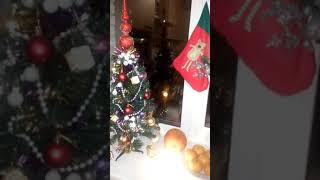 Поздравление с новым годом сайт Чин Женчины