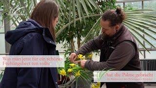 Was man jetzt für ein schönes Frühlingsbeet tun sollte - Podcast #21